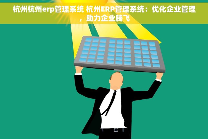 杭州杭州erp管理系统 杭州ERP管理系统：优化企业管理，助力企业腾飞