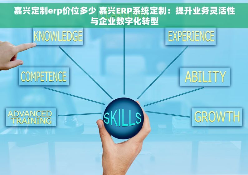 嘉兴定制erp价位多少 嘉兴ERP系统定制：提升业务灵活性与企业数字化转型