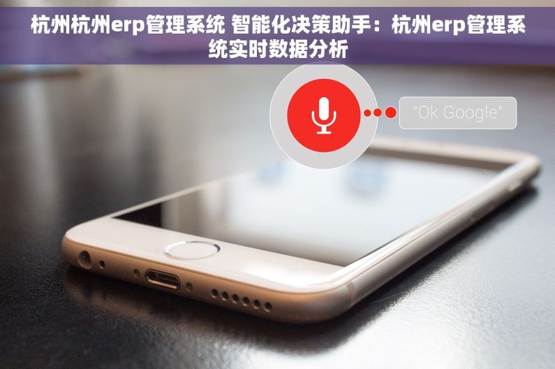 杭州杭州erp管理系统 智能化决策助手：杭州erp管理系统实时数据分析