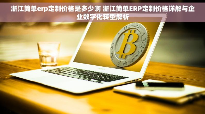 浙江简单erp定制价格是多少啊 浙江简单ERP定制价格详解与企业数字化转型解析