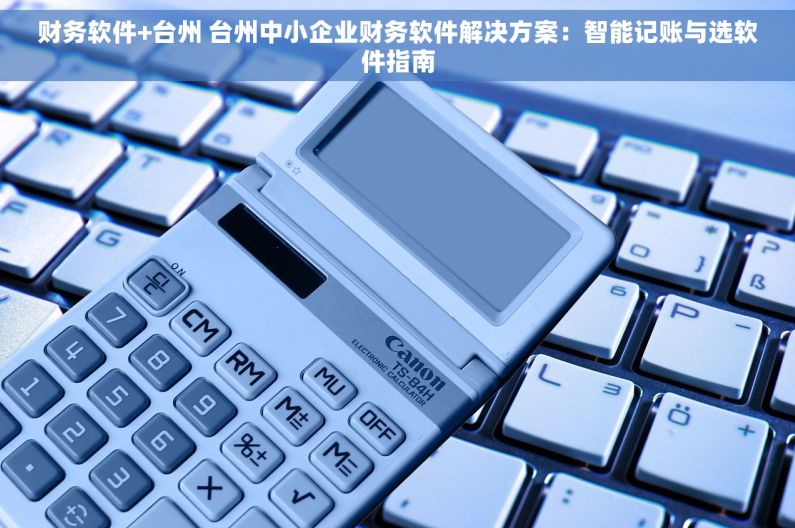 财务软件+台州 台州中小企业财务软件解决方案：智能记账与选软件指南