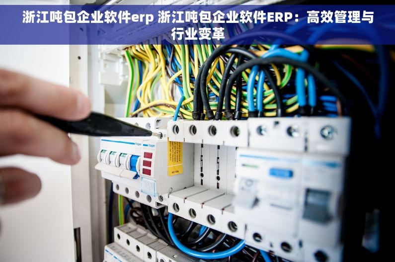 浙江吨包企业软件erp 浙江吨包企业软件ERP：高效管理与行业变革