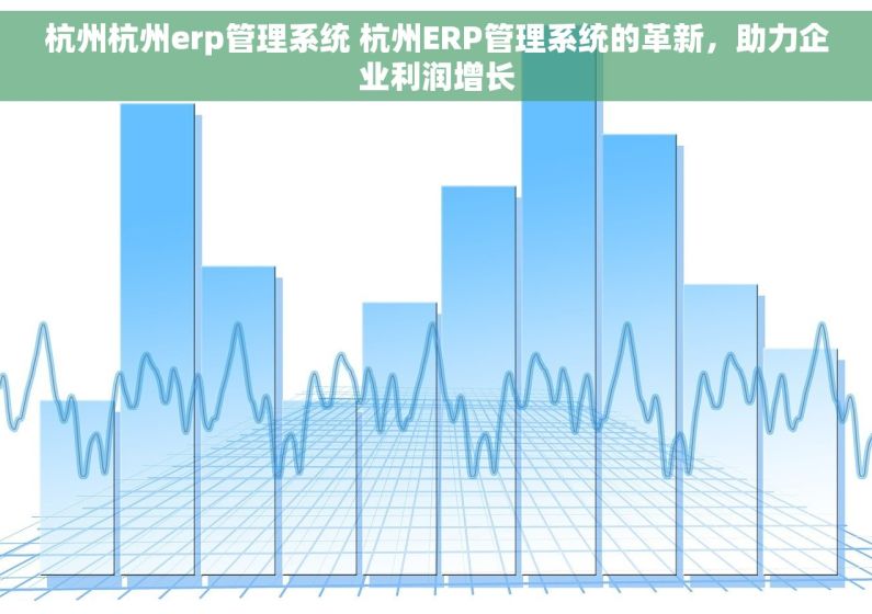 杭州杭州erp管理系统 杭州ERP管理系统的革新，助力企业利润增长