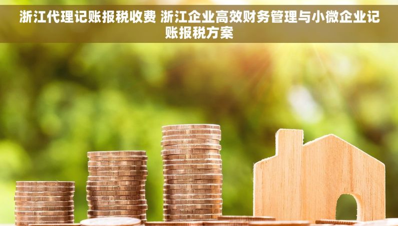 浙江代理记账报税收费 浙江企业高效财务管理与小微企业记账报税方案