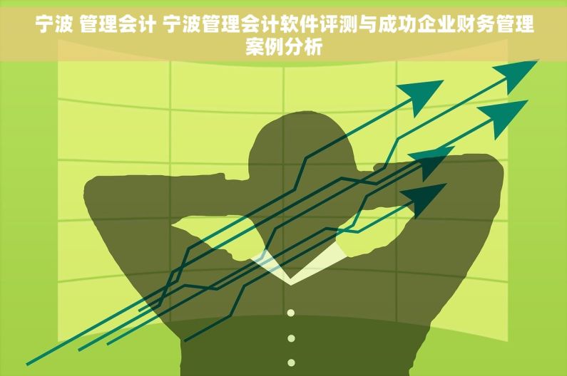宁波 管理会计 宁波管理会计软件评测与成功企业财务管理案例分析