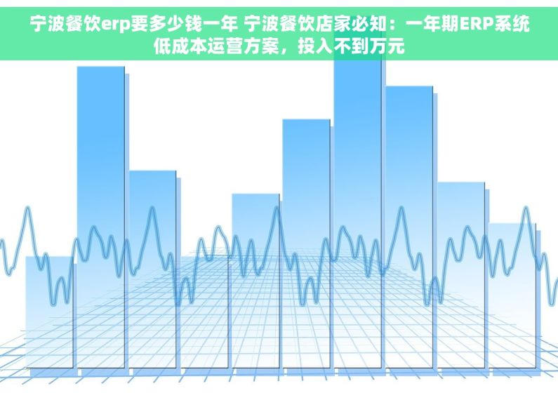 宁波餐饮erp要多少钱一年 宁波餐饮店家必知：一年期ERP系统低成本运营方案，投入不到万元
