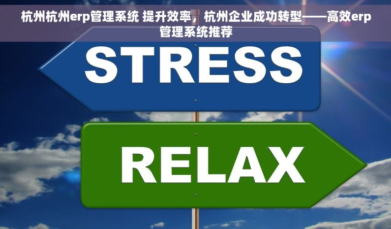 杭州杭州erp管理系统 提升效率，杭州企业成功转型——高效erp管理系统推荐