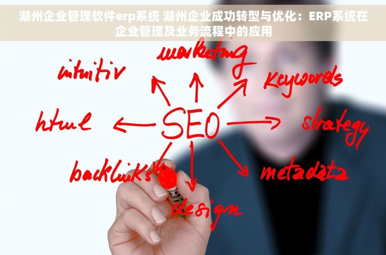 湖州企业管理软件erp系统 湖州企业成功转型与优化：ERP系统在企业管理及业务流程中的应用