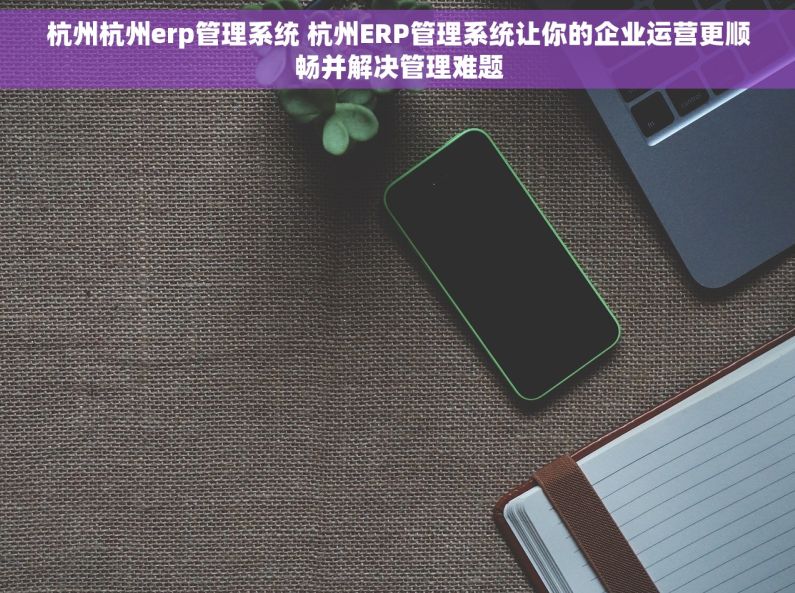 杭州杭州erp管理系统 杭州ERP管理系统让你的企业运营更顺畅并解决管理难题