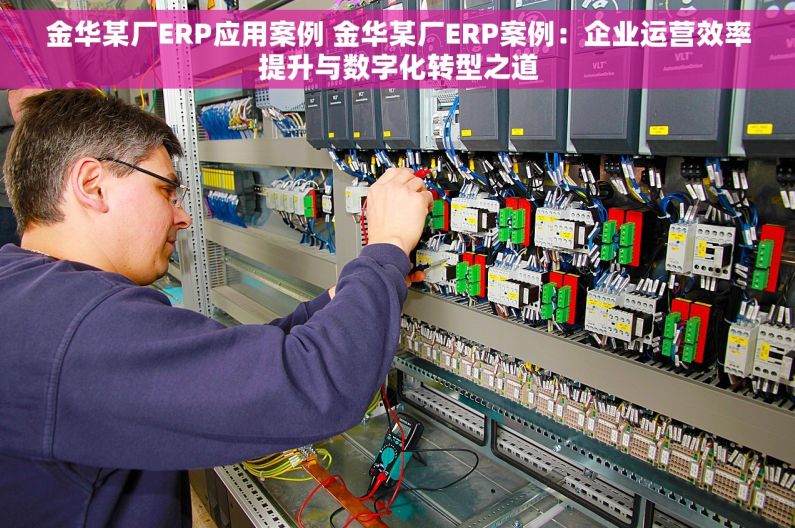 金华某厂ERP应用案例 金华某厂ERP案例：企业运营效率提升与数字化转型之道