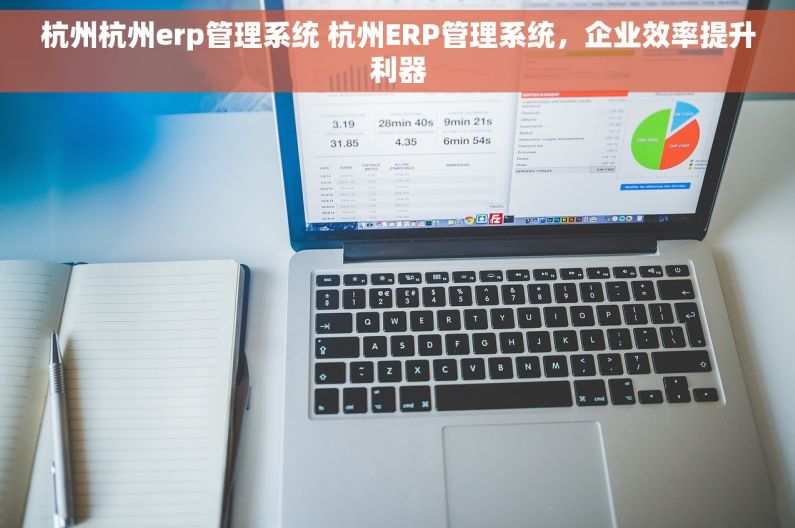 杭州杭州erp管理系统 杭州ERP管理系统，企业效率提升利器
