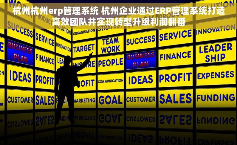 杭州杭州erp管理系统 杭州企业通过ERP管理系统打造高效团队并实现转型升级利润翻番
