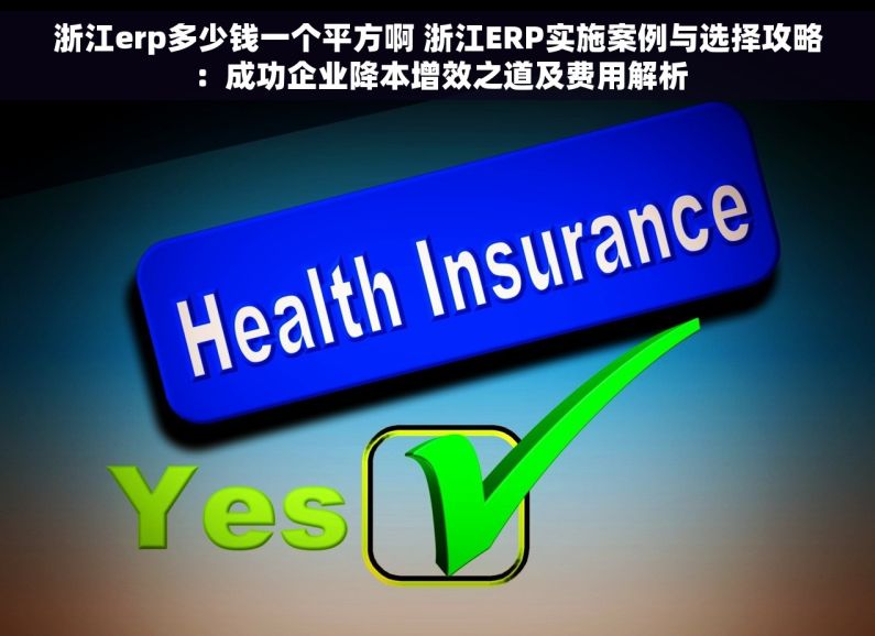 浙江erp多少钱一个平方啊 浙江ERP实施案例与选择攻略：成功企业降本增效之道及费用解析
