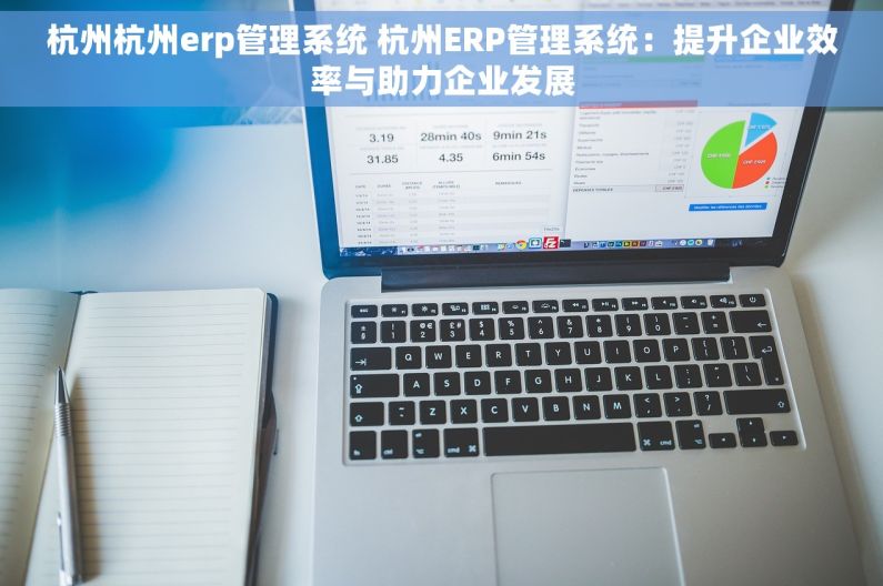 杭州杭州erp管理系统 杭州ERP管理系统：提升企业效率与助力企业发展