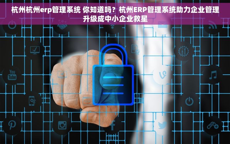 杭州杭州erp管理系统 你知道吗？杭州ERP管理系统助力企业管理升级成中小企业救星