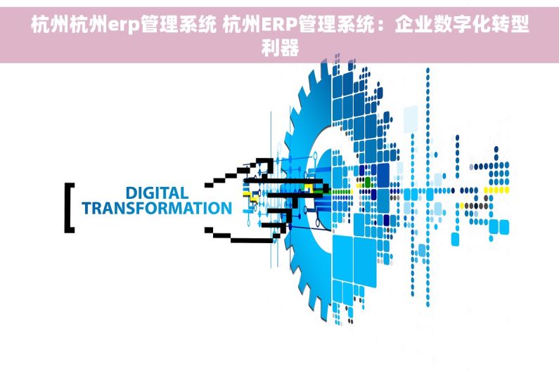 杭州杭州erp管理系统 杭州ERP管理系统：企业数字化转型利器