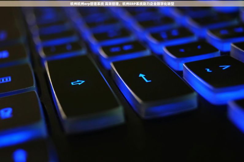 杭州杭州erp管理系统 高效管理，杭州ERP系统助力企业数字化转型