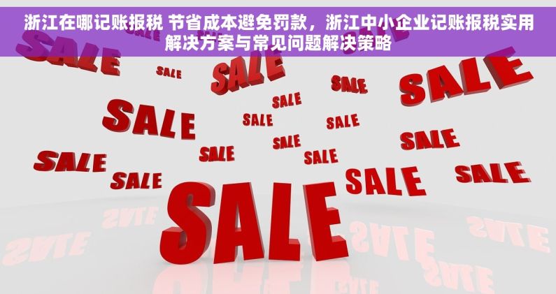浙江在哪记账报税 节省成本避免罚款，浙江中小企业记账报税实用解决方案与常见问题解决策略