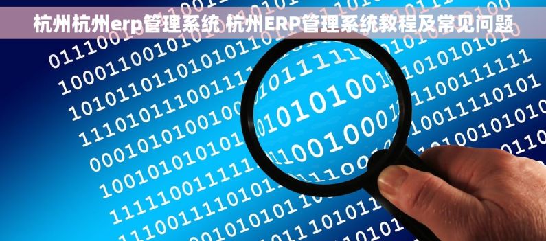 杭州杭州erp管理系统 杭州ERP管理系统教程及常见问题