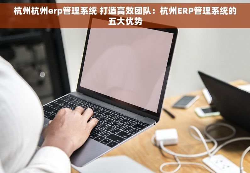 杭州杭州erp管理系统 打造高效团队：杭州ERP管理系统的五大优势