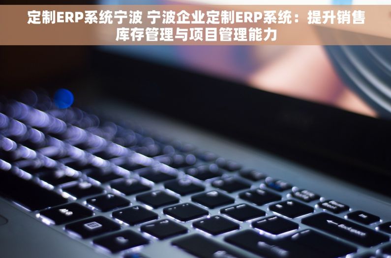 定制ERP系统宁波 宁波企业定制ERP系统：提升销售库存管理与项目管理能力