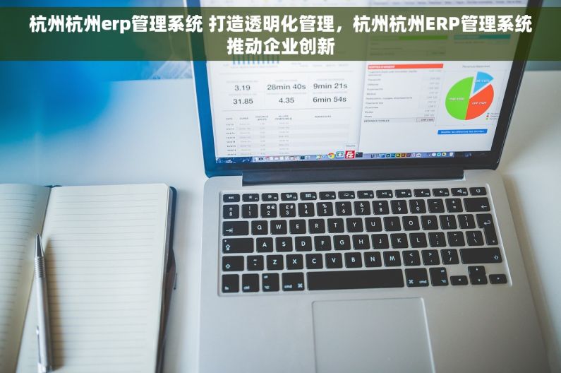 杭州杭州erp管理系统 打造透明化管理，杭州杭州ERP管理系统推动企业创新