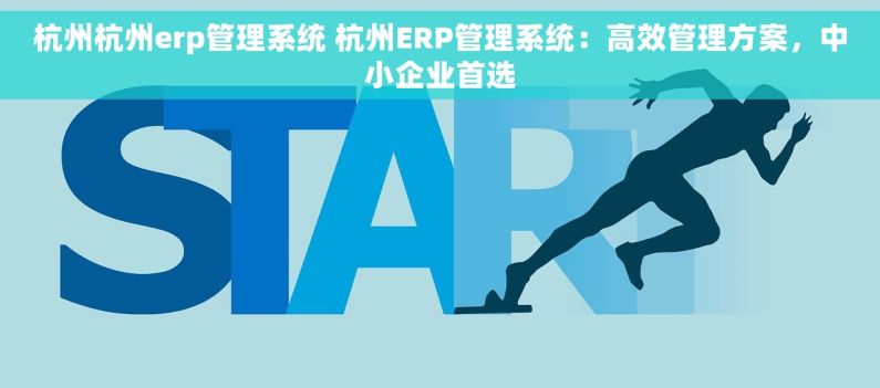杭州杭州erp管理系统 杭州ERP管理系统：高效管理方案，中小企业首选