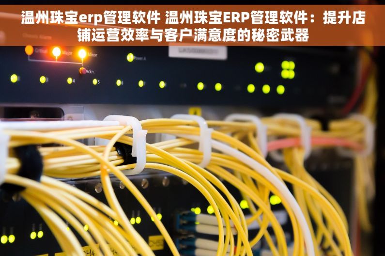 温州珠宝erp管理软件 温州珠宝ERP管理软件：提升店铺运营效率与客户满意度的秘密武器