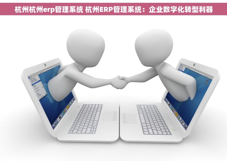杭州杭州erp管理系统 杭州ERP管理系统：企业数字化转型利器
