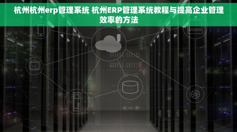 杭州杭州erp管理系统 杭州ERP管理系统教程与提高企业管理效率的方法