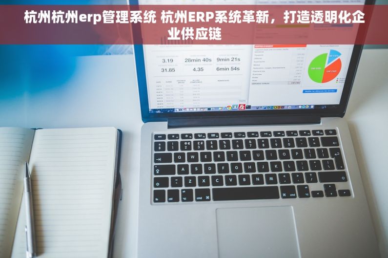 杭州杭州erp管理系统 杭州ERP系统革新，打造透明化企业供应链
