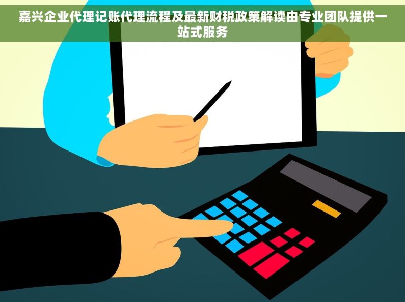 嘉兴企业代理记账代理流程及最新财税政策解读由专业团队提供一站式服务
