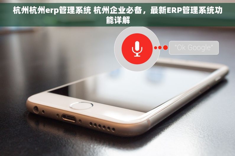杭州杭州erp管理系统 杭州企业必备，最新ERP管理系统功能详解