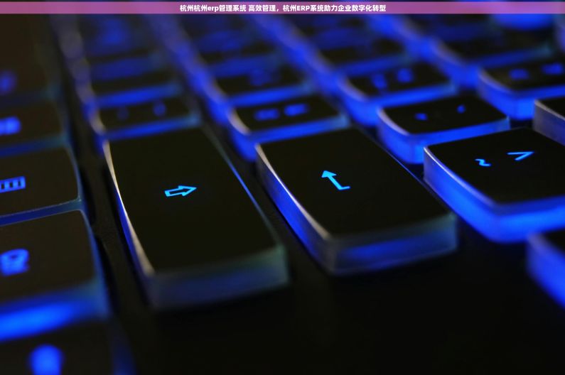 杭州杭州erp管理系统 高效管理，杭州ERP系统助力企业数字化转型