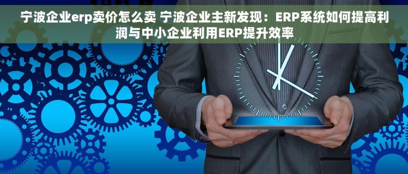 宁波企业erp卖价怎么卖 宁波企业主新发现：ERP系统如何提高利润与中小企业利用ERP提升效率