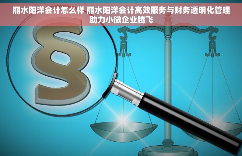 丽水阳洋会计怎么样 丽水阳洋会计高效服务与财务透明化管理助力小微企业腾飞