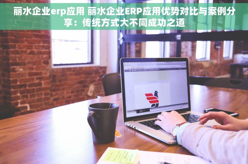 丽水企业erp应用 丽水企业ERP应用优势对比与案例分享：传统方式大不同成功之道