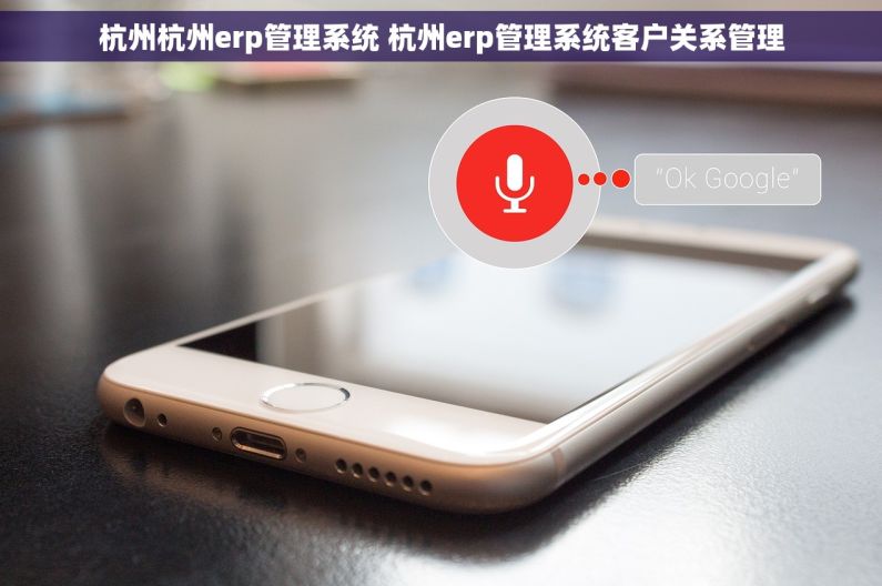 杭州杭州erp管理系统 杭州erp管理系统客户关系管理