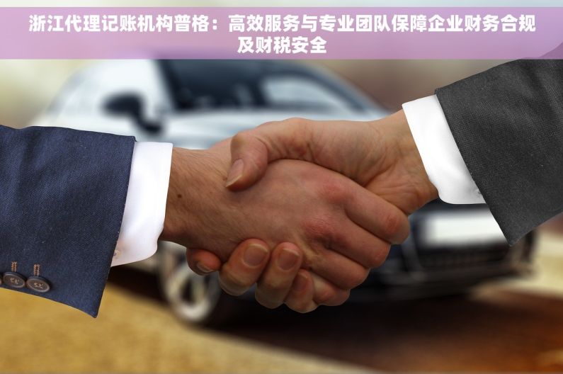 浙江代理记账机构普格：高效服务与专业团队保障企业财务合规及财税安全