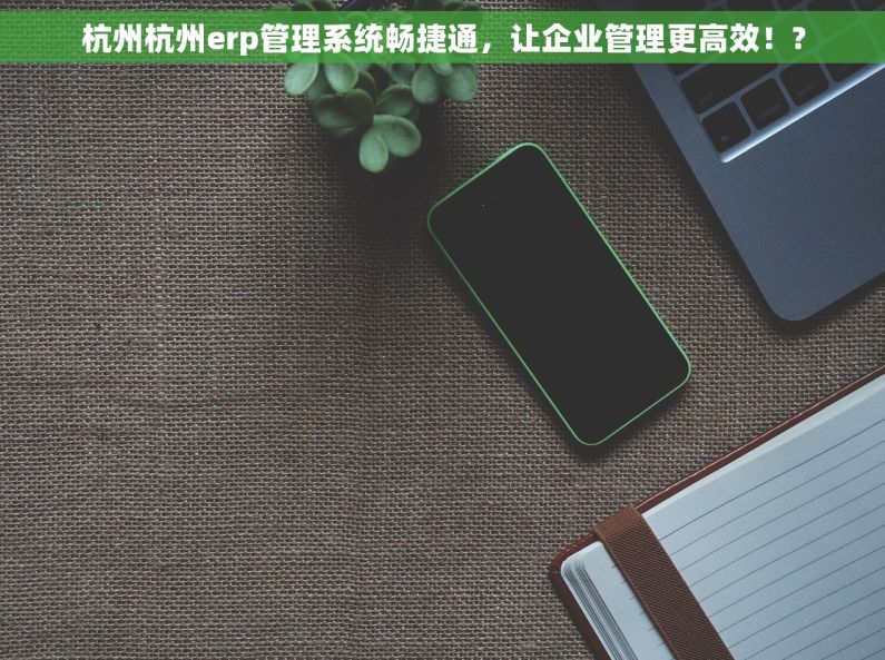 杭州杭州erp管理系统畅捷通，让企业管理更高效！?