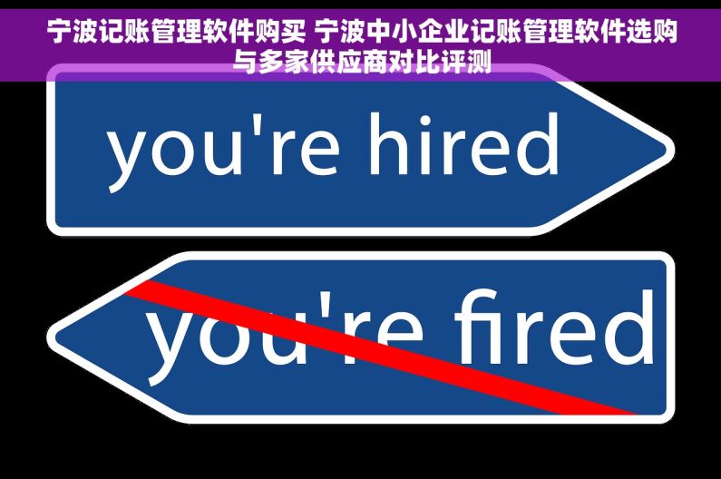 宁波记账管理软件购买 宁波中小企业记账管理软件选购与多家供应商对比评测