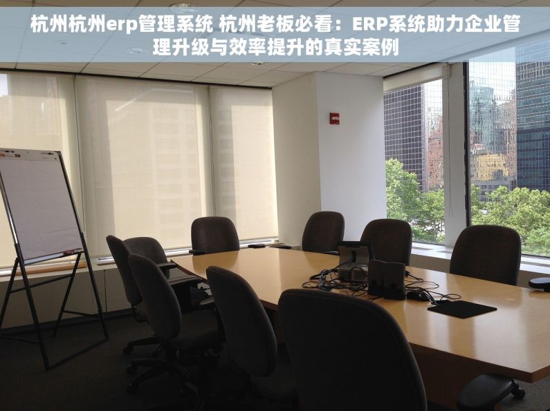 杭州杭州erp管理系统 杭州老板必看：ERP系统助力企业管理升级与效率提升的真实案例