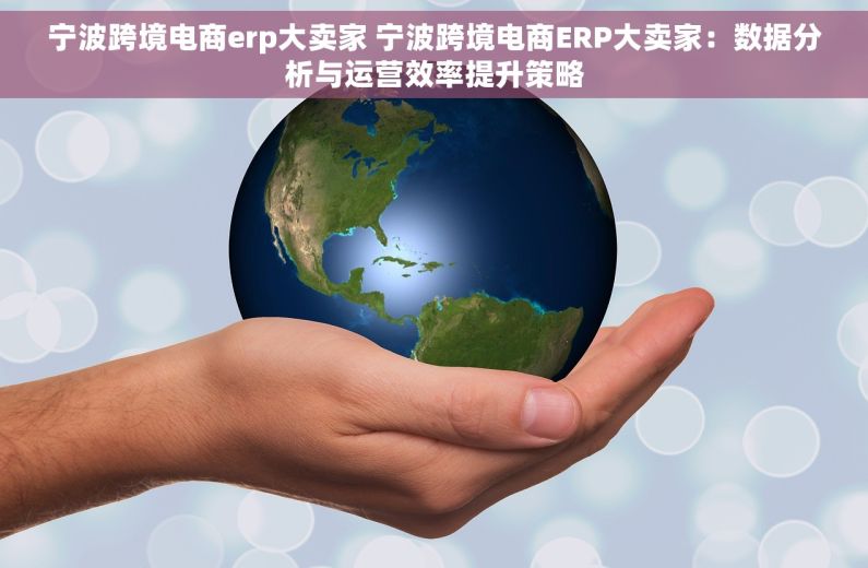 宁波跨境电商erp大卖家 宁波跨境电商ERP大卖家：数据分析与运营效率提升策略