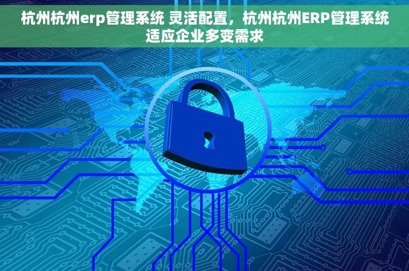 杭州杭州erp管理系统 灵活配置，杭州杭州ERP管理系统适应企业多变需求