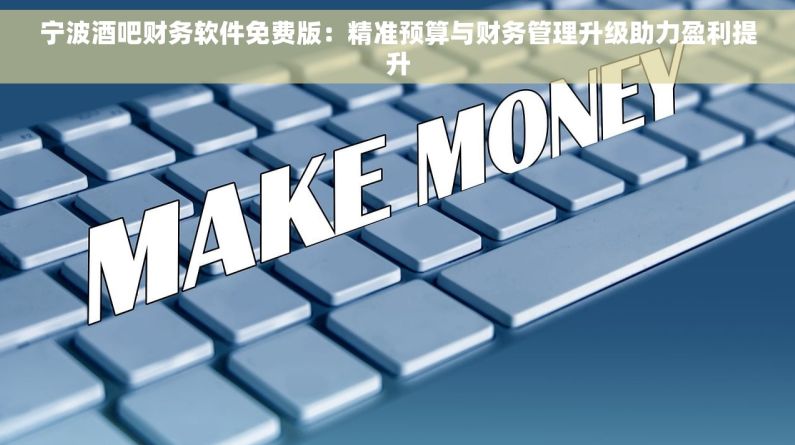 宁波酒吧财务软件免费版：精准预算与财务管理升级助力盈利提升