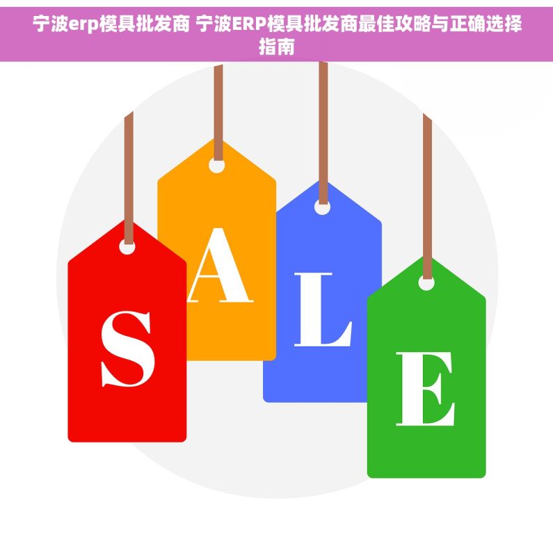 宁波erp模具批发商 宁波ERP模具批发商最佳攻略与正确选择指南