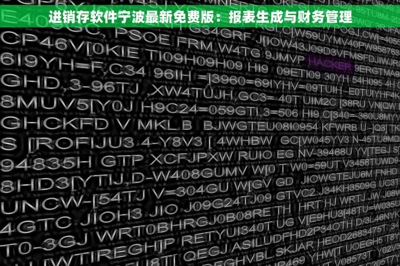 进销存软件宁波最新免费版：报表生成与财务管理