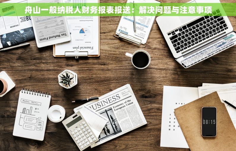 舟山一般纳税人财务报表报送：解决问题与注意事项