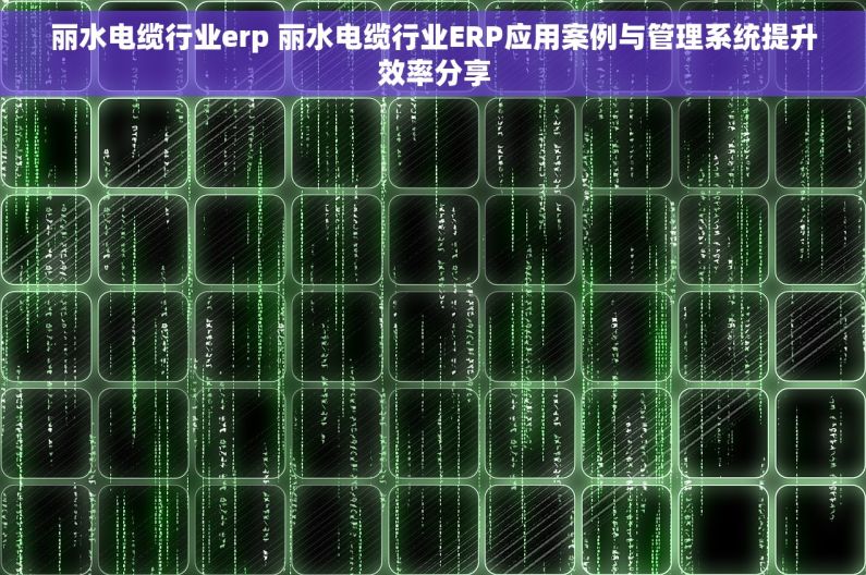丽水电缆行业erp 丽水电缆行业ERP应用案例与管理系统提升效率分享
