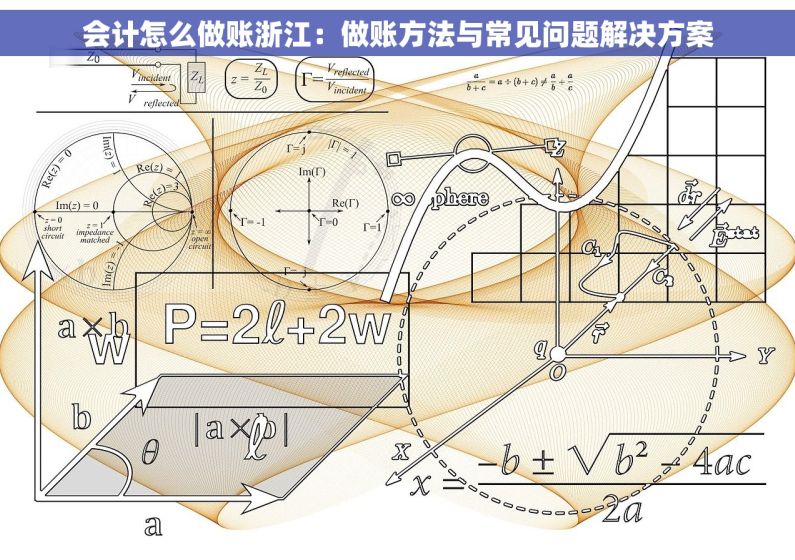 会计怎么做账浙江：做账方法与常见问题解决方案